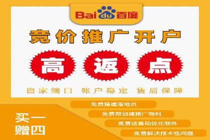 百度竞价代理优化策略：案例分享与借鉴